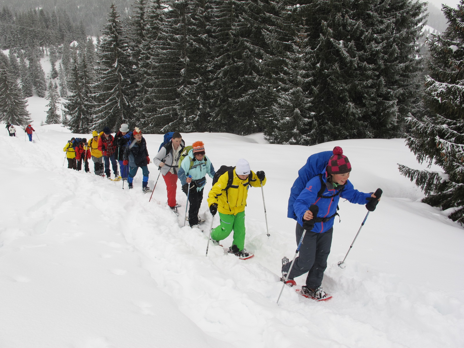 Photo de randonnée en raquettes à neige